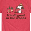 Boys' - Peanuts - All Good In The Woods Short Sleeve Graphic T-Shirt - 2 of 4