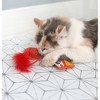 Quirky Kitty Ramen Cat Toy - 2pk : Target