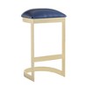 Set of 2 Aura Upholstered Stainless Steel Barstools - Manhattan Comfort - 3 of 4