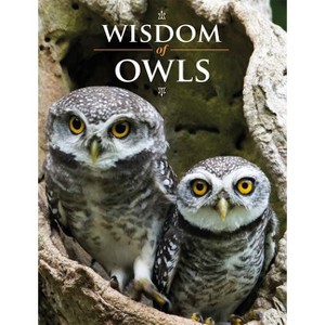 Wisdom of Owls - by  Lisa Purcell (Hardcover) - 1 of 1