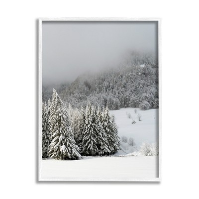 Stupell Industries Winter Snowscape Woodland Trees Framed Giclee Art