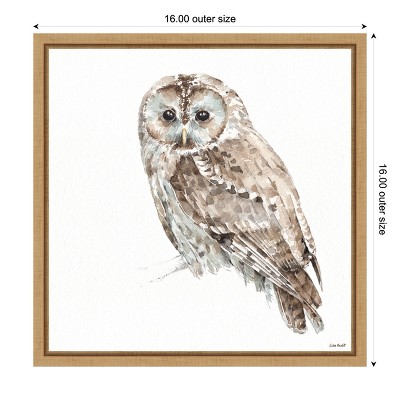 Small Brown and Aqua Framed Owl Canvas Print