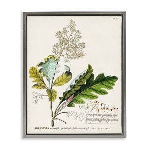 Stupell Industries Vintage Botanical Plant Illustration Floating Frame Canvas Art, Gray, 25" x 31" - 1 of 4