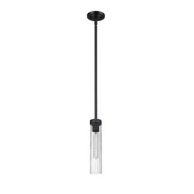 Matte Black Steel and Glass 12.75" Indoor/Outdoor Pendant Light