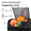 Dual Compartment Insulated Lunch Bag for Mens Womens, Large Leakproof Lunch Box Thermal Lunch Totes with Shoulder Strap - Tirrinia - image 2 of 4