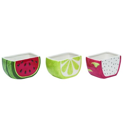 Transpac Small Summer Fruit Planter w/Hole Set of 3 Spring Home Decorations