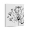 23" x 23" Bell Agapanthus X Ray Floral by The Creative Bunch Studio Unframed Wall Canvas - Kate & Laurel All Things Decor - 3 of 4