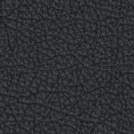 boston red sox 1976-2008