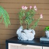 NAYSAYE Planter 5 Bunny Cement Planter Fun Animal Design for Indoor Outdoor Garden, Gray, 10"*8"*6.5" - 3 of 4