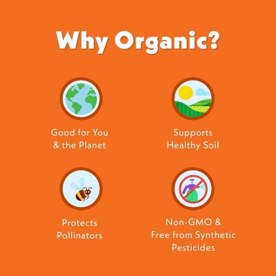 Once Upon A Farm Protein Orange Mango Twist Pouch - 4oz