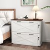 Karl Home 2-Drawer White Particle Board 31.5in. W Lateral File Cabinet - 3 of 4
