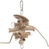 Prevue Pet Products Rustic Rolls - 3 of 3