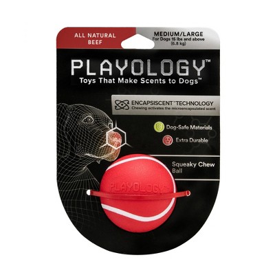 Playology Beef Scent Chew Ball Dog Toy - Red - M