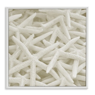 Stupell Industries Nautical White Starfish Photography, 12" x 12"