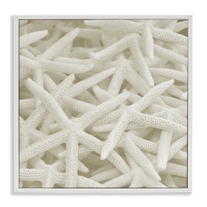Stupell Industries Nautical White Starfish Photography, 12" x 12" - 1 of 4
