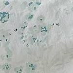 Abstract Floral Blue