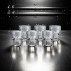 Dura Culina® Set of 6 Skull Shot Glasses – 1.75 oz Glass Novelty Drinkware for Halloween Parties, Cocktail Bars & Home Décor - 4 of 4