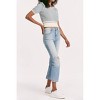 Women's Neve Top Pale Sage Stripe - Another Love - 4 of 4