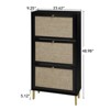 FONTOI 3 Door Shoe Rack with Metal Feet and Foot Pads, Freestanding Shoe Storage Cabinet for Entryway, Living Room, Porch, Black, 9.25"*48.98"*23.62" - 3 of 4