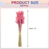 Unique Bargains Decorative Natural Dried Floral Bunny Tail Artificial Plants 120 Pcs - 2 of 4