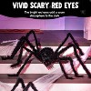 Joyfy 2Pcs 60" Giant Spider Halloween Outdoor Decorations,Realistic Spider Giant,Fake Hairy Spider Scary Party Decor for Creepy Yard Halloween Party - 4 of 4
