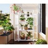 Outdoor 62'' H Wood Large Garden Greenhouse,Balcony 3-Tier Adjustable Shelves Portable Cold Frame,Wooden Lean to Roof Greenhouse-Coolbibila - 2 of 4