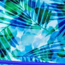 bright blue palm