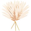 Vickerman 18" Artificial Designer Palm Fan, 3 per bag - 4 of 4