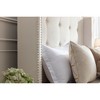 Queen Size Upholstered Platform Bed with Traditional Hand Buttoned Tufting and Nailhead Trim Wingback - 3 of 4