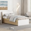 Whisen Modern Twin Bed Frame For White High Gloss Headboard and Footboard with Trundle or Drawers, Space-Saving Design - 2 of 4