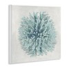 Stupell Industries Coral Ball Blue Sea Beach Wall Plaque Art - 2 of 4