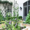 6.2ft Garden Obelisk Trellis for Climbing Plants, Freestanding Tall Plant Support Tower for Roses, Vines, Vegetables - 2 of 4