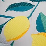 light grey-lemon