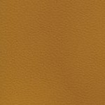 c.j. gardner-johnson