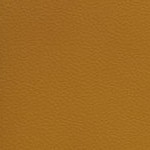 c.j. gardner-johnson