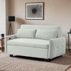 57.48" Pull-out Sofa Bed Convertible Couch 2 Seat Loveseat Sofa Modern Sleeper Sofa with Two Throw Pillows and USB Ports - Leovsnove - 2 of 4