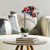 Forever Leaf Auburn State Faux Orchid, Indoor Artificial Plant for Home Decor - 3 of 4