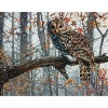 Dimensions Counted Cross Stitch Kit 14"X11"-Wise Owl - 2 of 2