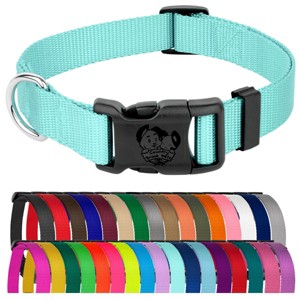 Country Brook Petz Everyday Nylon Dog Collar - 1 of 4