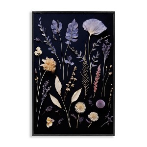 Stupell Industries Various Sprigs on Black Framed Giclee Art - 1 of 4