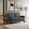 Serta Wapello Loveseat Charcoal: Upholstered 2-Seater, Polyester, Rubberwood Legs, Stain-Resistant - 2 of 4