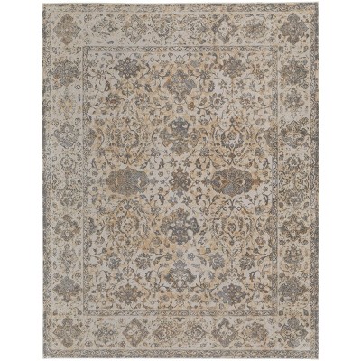 Celene Traditional Bordered Ivory/Tan/Gray Area Rug