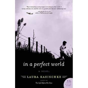 In a Perfect World - by  Laura Kasischke (Paperback)