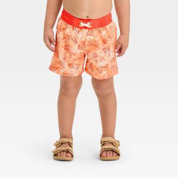 Kids Children Boys Underwear Set Cute Print Briefs Shorts Cotton Underwear  Trunks 3PCS Baby Girl Panties (Orange, 18-24 Months) : : Clothing,  Shoes & Accessories