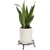 Farmlyn Creek 4 Pack Black Metal Plant Stand, Flower Pot Holder for Indoor & Outdoor, Garden or Home Decor, 9" x 2.7" - 4 of 4