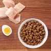 IAMS Proactive Health with Chicken Adult Premium Dry Cat Food - image 2 of 4