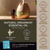 Gya Labs Spearmint Essential Oil - 100% Pure Natural Spearmint Oil - 0.34 Fl Oz - 4 of 4