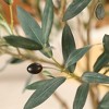 DR.Planzen 7ft UV Resistant Artificial Olive Tree with Grey Tall Planter, Pre Potted Fake Olive Tree for Indoor Outdoor Home Decor, Big Faux Plants - 3 of 4