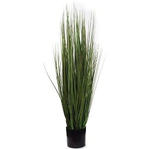Floral Home 3' Grass Bush in Pot - 1-Piece - 1 of 3