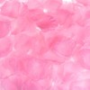 Unique Bargains Decoration Wedding Party Silk Artificial Flower Petals Dark Pink 3000 Pcs - 4 of 4